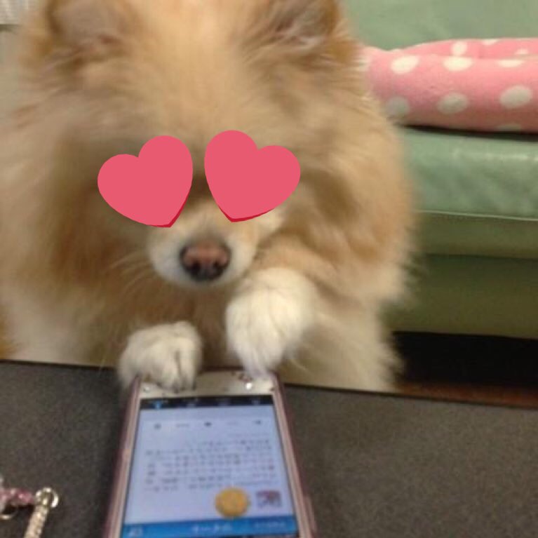 gothkgs's tweet photo. @soykcals I LUV U HONEYBEE https://t.co/9OIw8H1lJp
