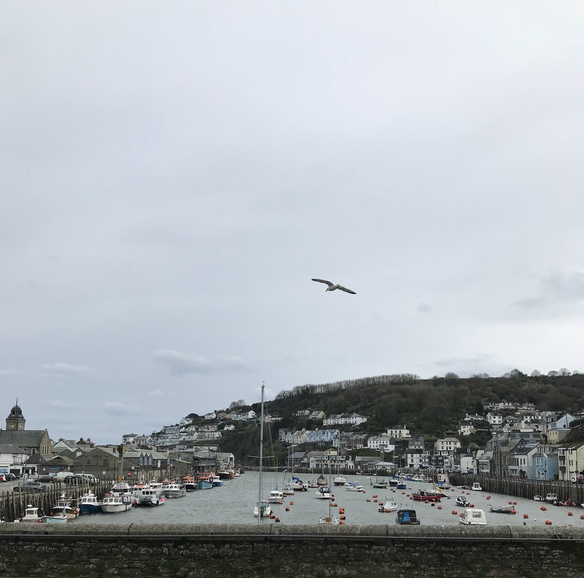 It was very breezy in Looe today & certainly a day for warm clothing & sitting by the fire in a warm pub 👍 but, on a day like today when our friends the seagulls attack the bins, if you see plastic blowing around the town, please help by picking it where you can. 🙂 #CleanBeach