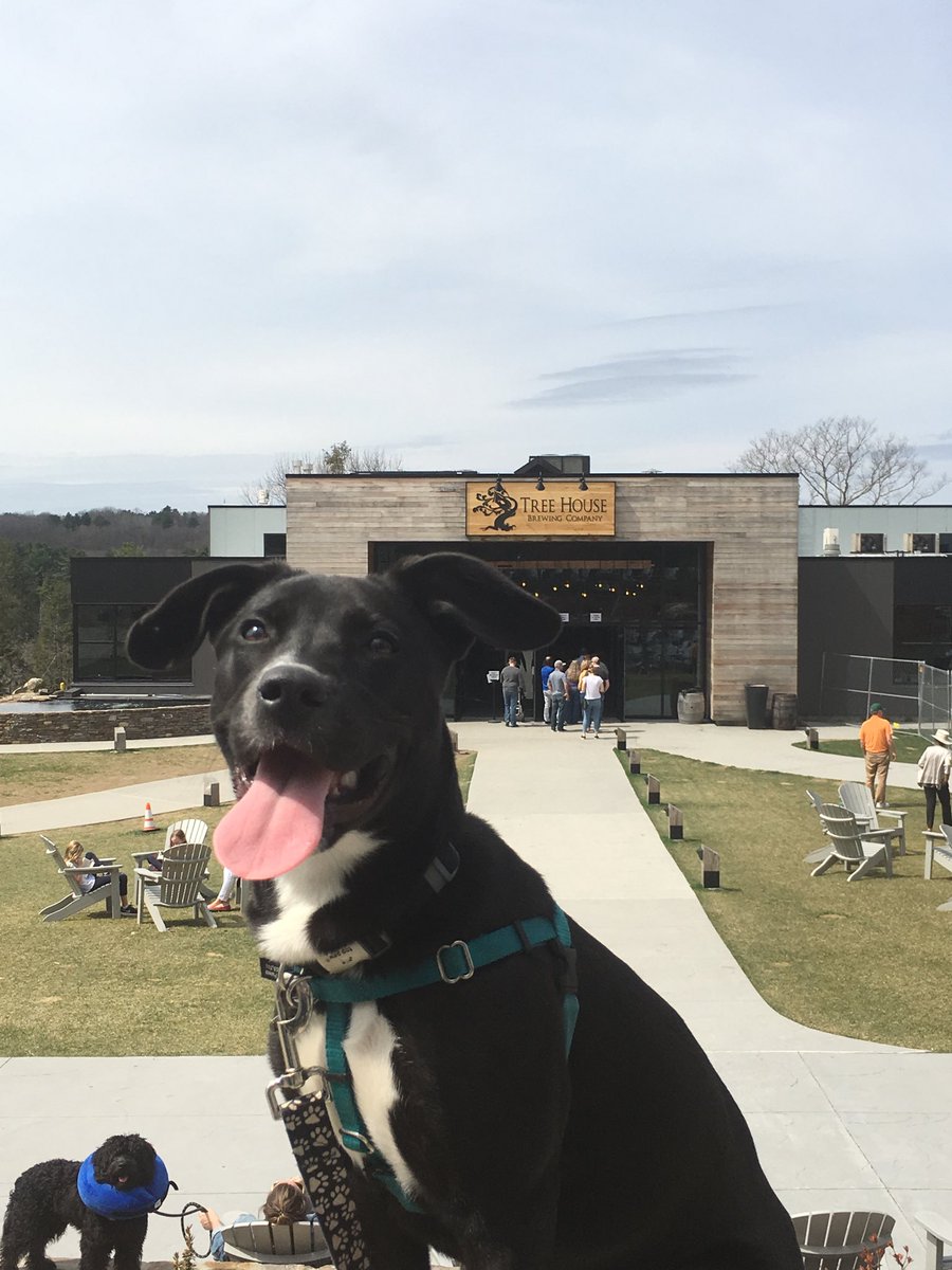 brian_richardB's tweet photo. First trip to Tree House Brewery for Juniper.  Many more to come. ⁦@TreeHouseBrewCo⁩ https://t.co/6CFZUQQRuu