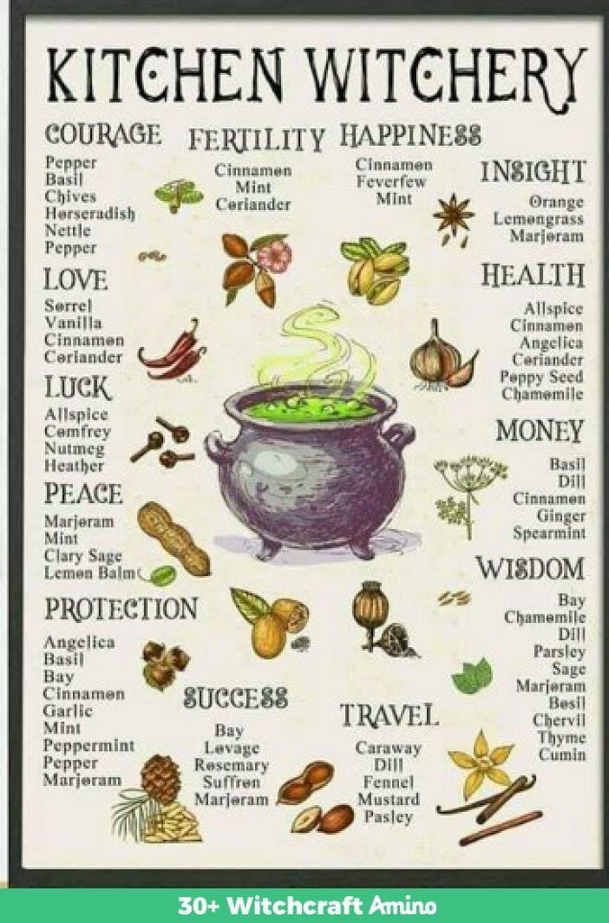 NoGirlNextDoor's tweet photo. Just Pinned to Witchy Beginnings:   https://t.co/tqWxHR0eva https://t.co/agmHq5pkQg