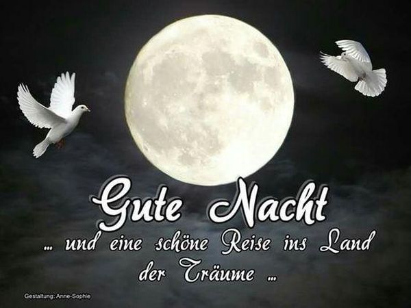 Anna A Twitter Meine Lieben Ich Wunsche Euch Eine Gute Nacht Schlaft Gut Fur Morgen Einen Guten Start In Die Neue Woche