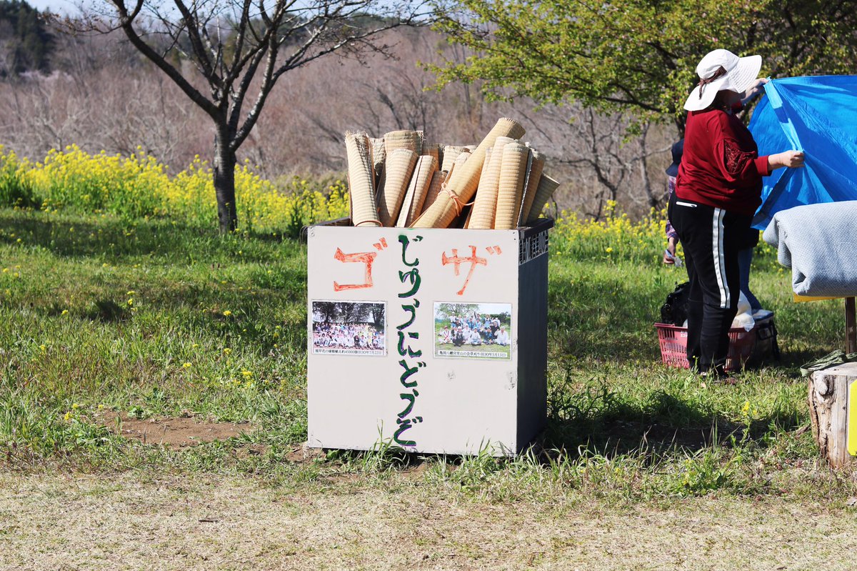 kuroneco280's tweet photo. 【4/14 小宅古墳群】
栃木県益子町の小宅古墳群。
桜と菜の花が満開です。
現地にはゴザが準備されており、手ぶらで花見が出来ます。
#japan #一眼レフ初心者 #一眼レフ #canon #canon8000d #益子 #栃木県 #小宅古墳群 #oyake #oldtombgroup #mashiko #tochigi #桜 #sakura #菜の花 #rapeblossoms https://t.co/zQUEEFfGP1