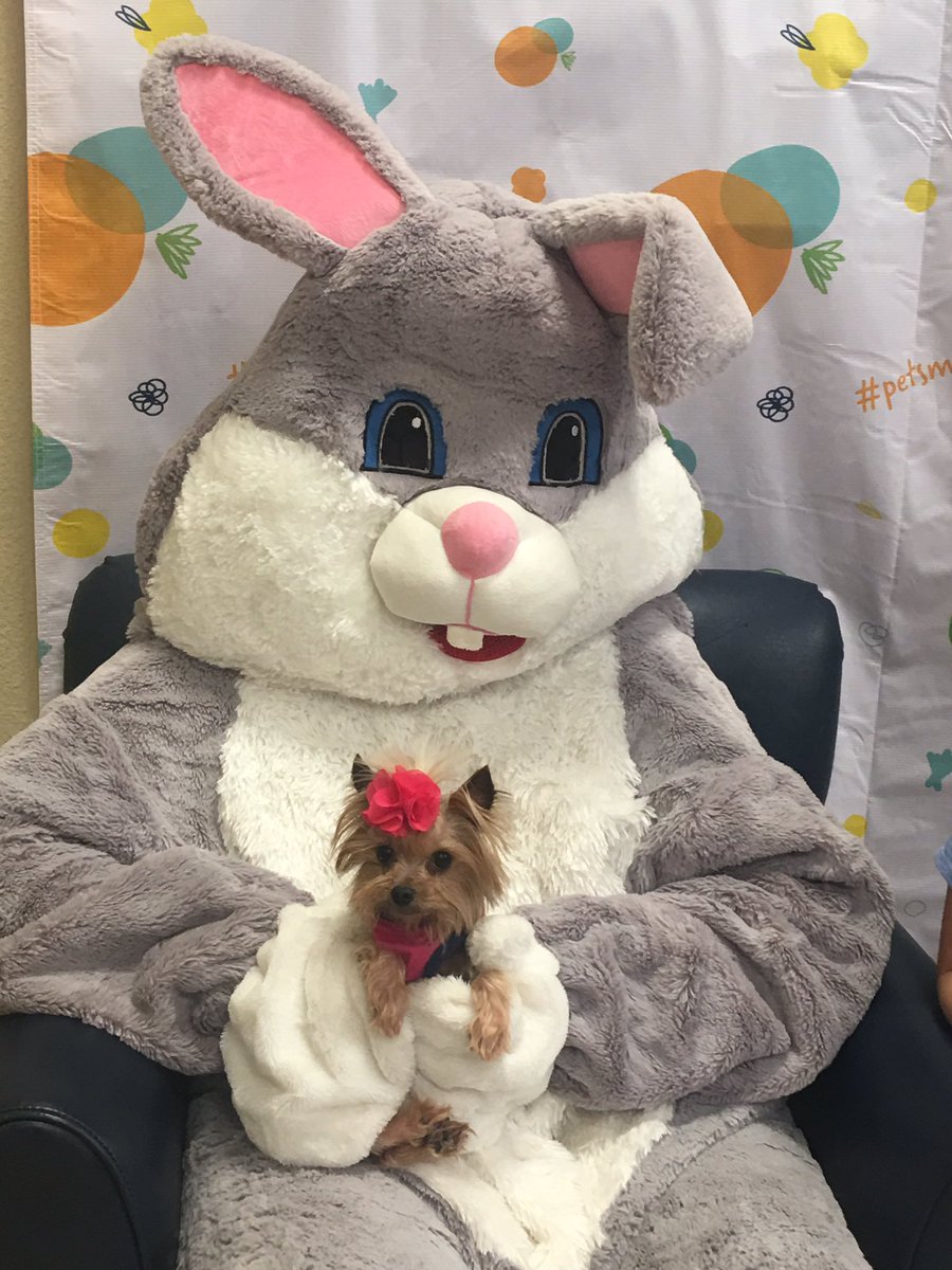 Pictures with the 🐰 <a href="/PetSmart/">PetSmart</a> #lovemygrandkids