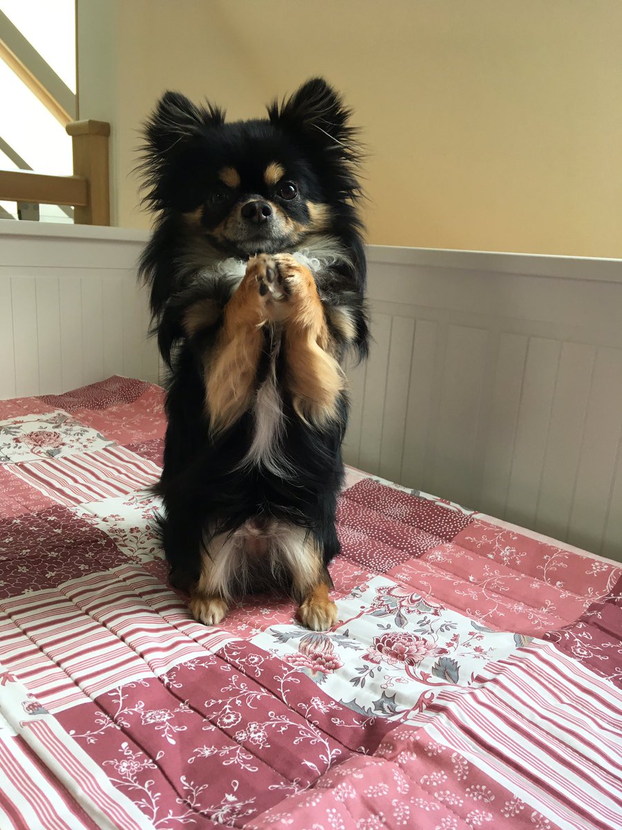 #narco #imsogorgeous