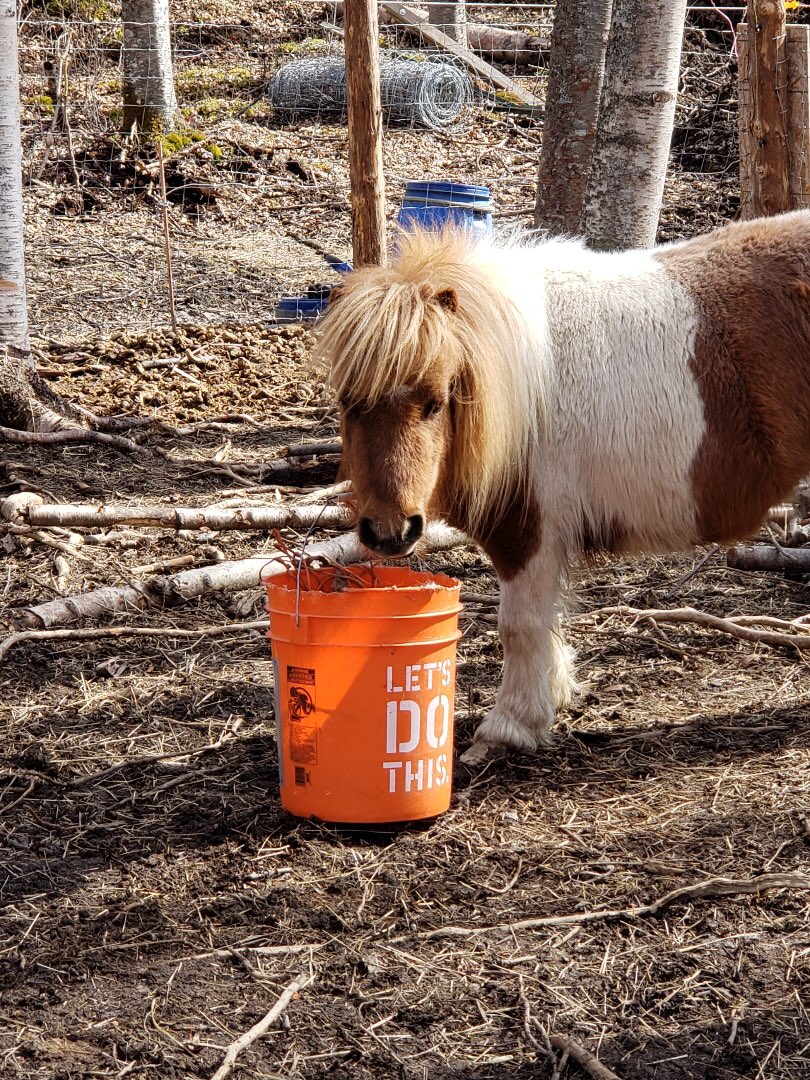 Ryan Turrentine tweet media