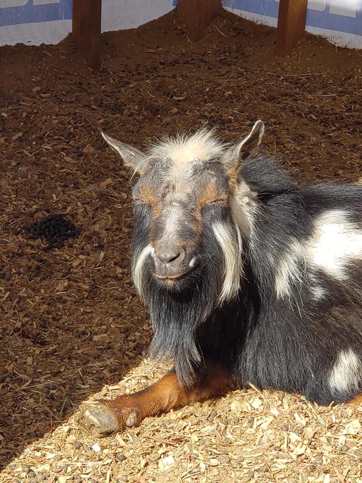 Ryan Turrentine tweet media