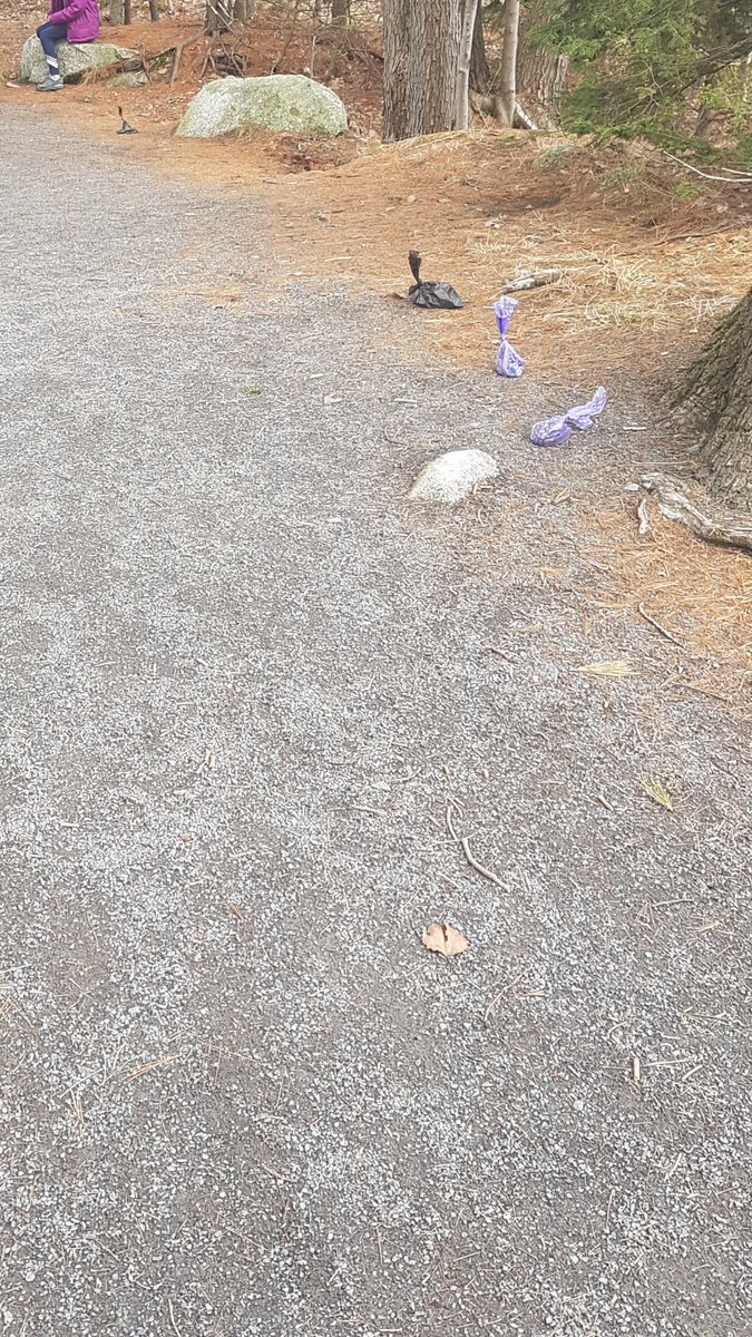 james_stymiest's tweet photo. Beautiful day for a walk in Frog Pond park with the family. Nice to see people picking up after their dogs, would be nicer still if you actually carried it to a garbage can. Why leave them on the trail???
#pickupyourdogspoo #keeptrailsclean https://t.co/3exs6ExYXC