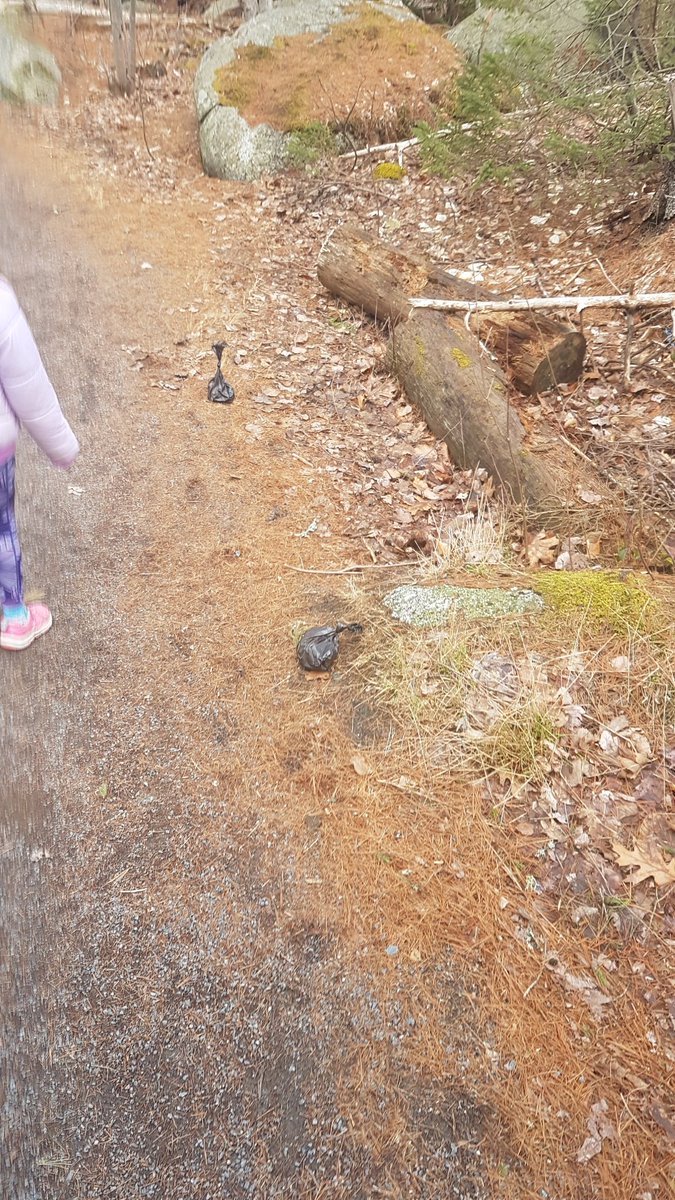 james_stymiest's tweet photo. Beautiful day for a walk in Frog Pond park with the family. Nice to see people picking up after their dogs, would be nicer still if you actually carried it to a garbage can. Why leave them on the trail???
#pickupyourdogspoo #keeptrailsclean https://t.co/3exs6ExYXC