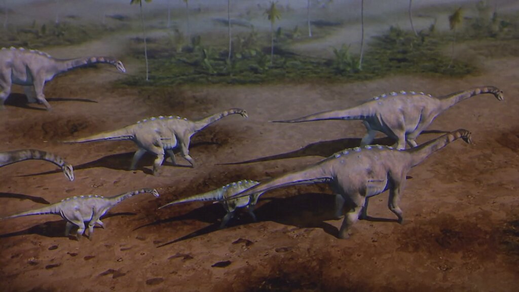 3CatInfo's tweet photo. El titanosaure: un dinosaure català que va deixar petjada https://t.co/bQGbaJpLO0 https://t.co/CHl5PWZgxP