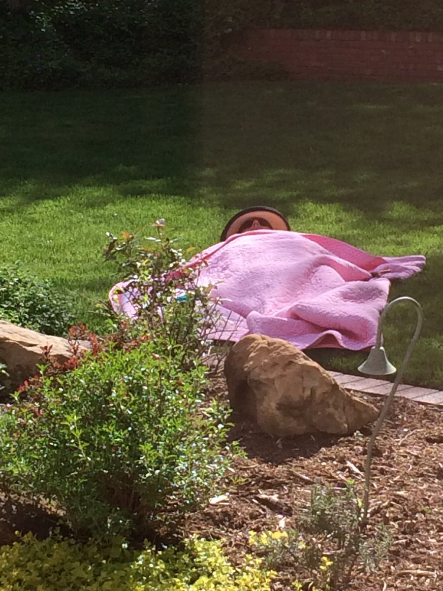 saydesaunders's tweet photo. My mom is unbothered https://t.co/AiHCuvRPtc