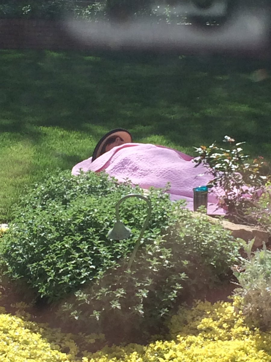 saydesaunders's tweet photo. My mom is unbothered https://t.co/AiHCuvRPtc