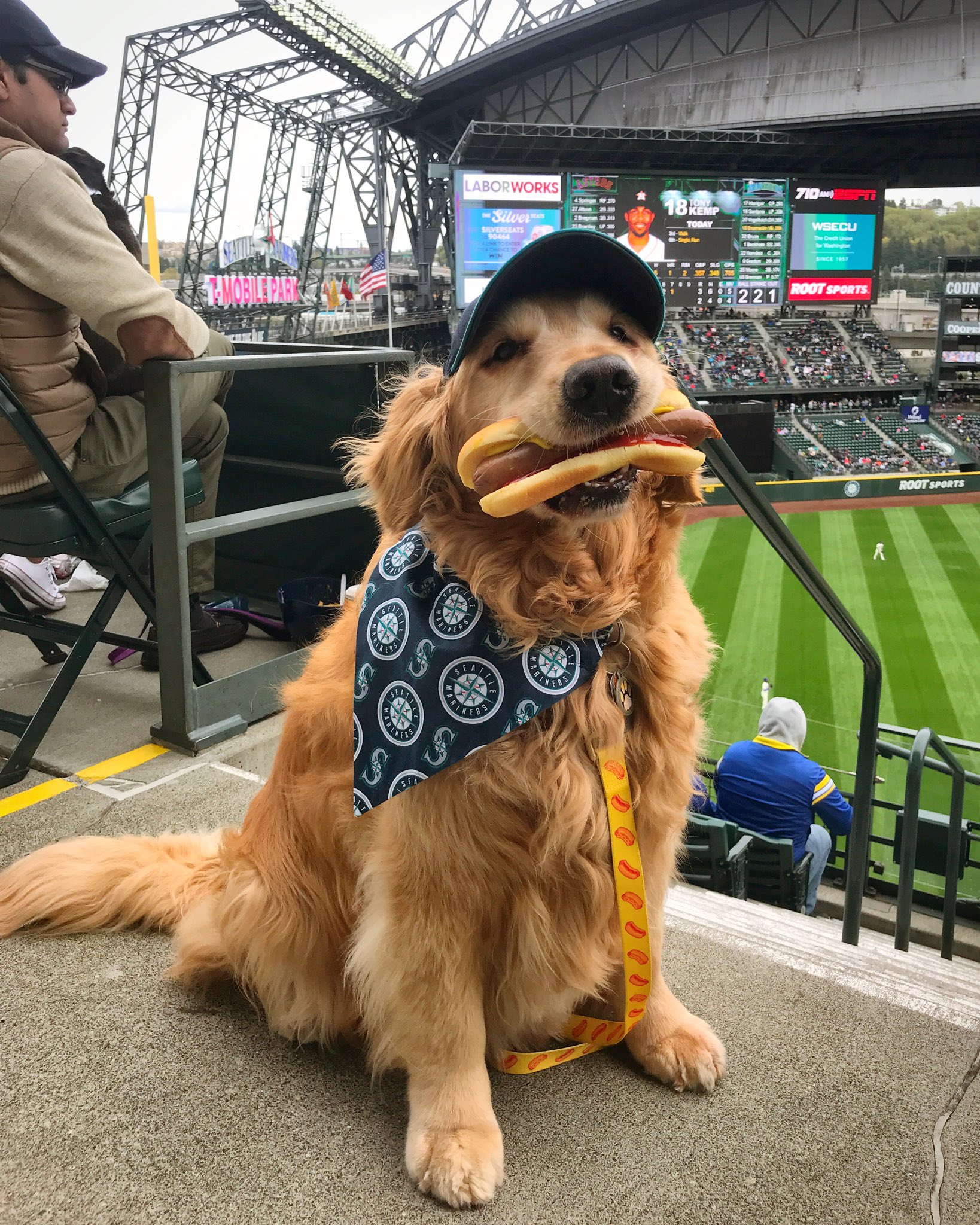 mariners hot dogs