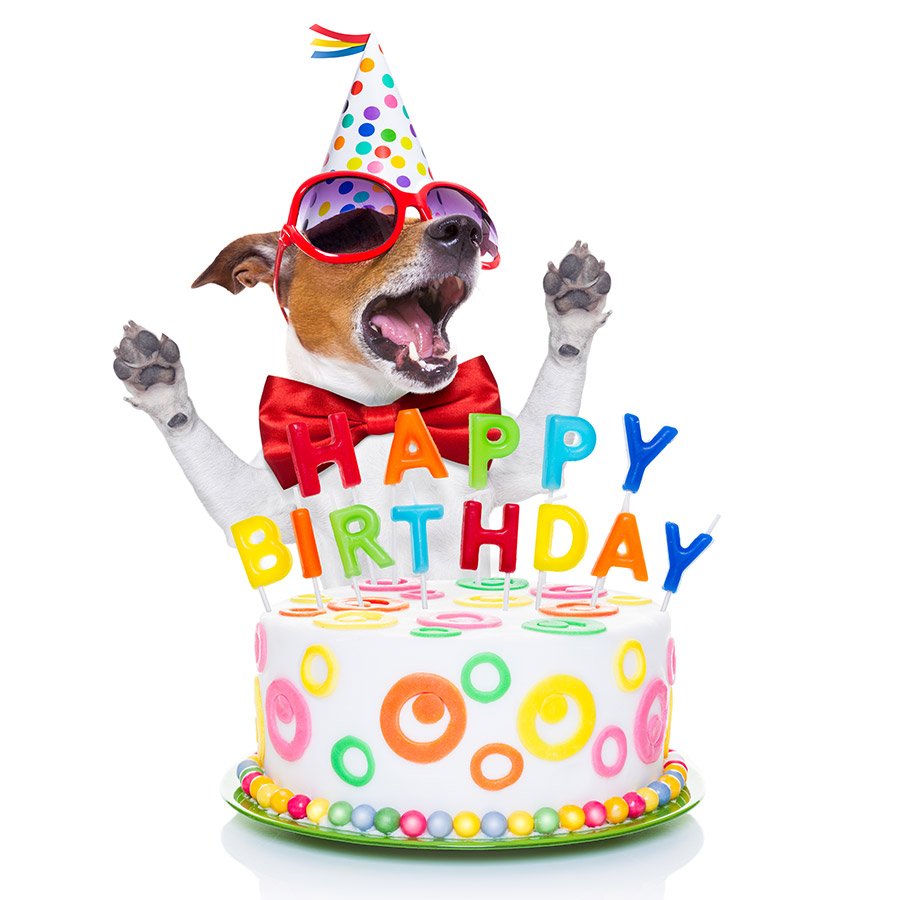 realGwennavere's tweet photo. ❣️WE LOVE YOU @RSBNModerator #HappyBirthday❣️
🎂🎁🎈🎉🎊#RSBNModSquad 🎂🎁🎈🎉🎊
@lc65265 @JacobSeales21 @wolff_jim @rogerhorn2005 @BraleyCPA @JoeSeales @RSBNetwork @WebsterMaven @byers_bailee @MaxKleiberRSBN @jordanparker_ @CarlEPetersen https://t.co/qsBR5iMyzb