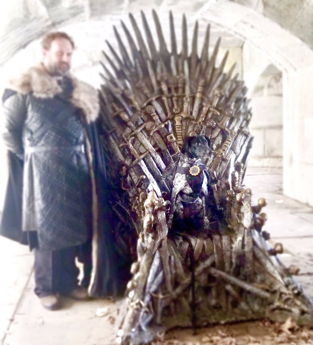 K9 Palla on a throne