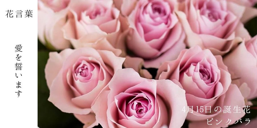 花言葉 誕生日プレゼントに贈る花 おめでとう の意味をもつ花まとめ Monjiroblog