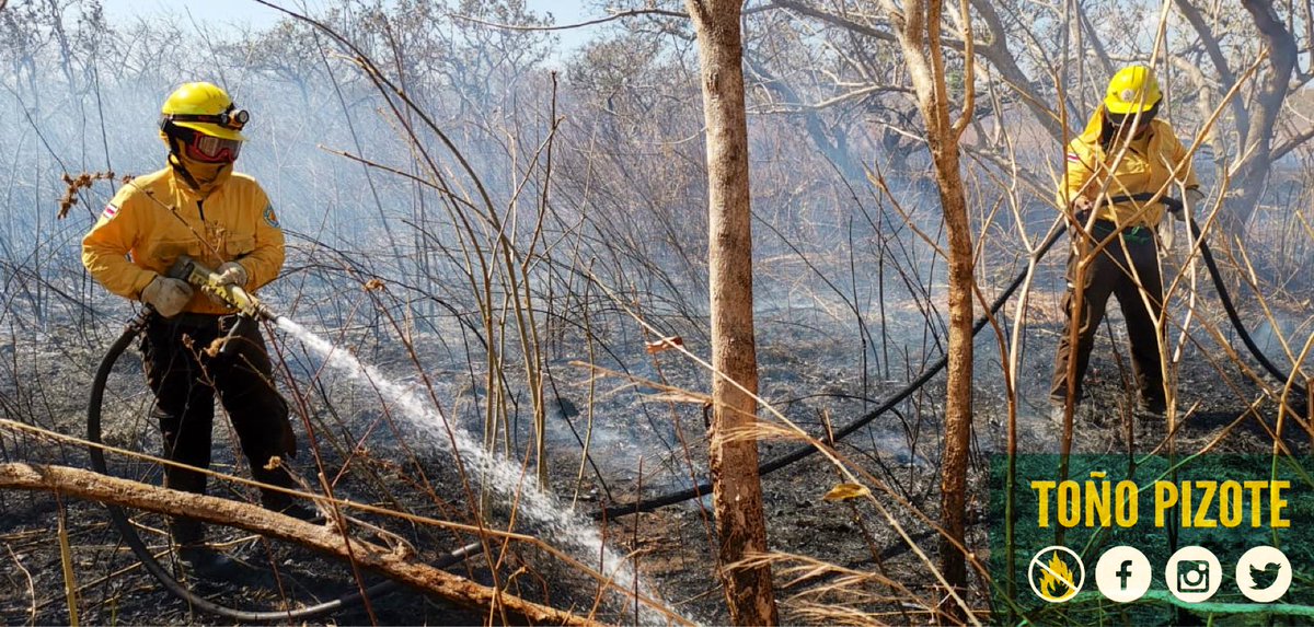 tonopizote's tweet image. La temporada de #incendiosforestales aún no finaliza y los funcionarios del #SINAC #MINAE brigadas de refuerzo y voluntarias, continúan realizando el control de incendios a nivel nacional.

En esta Semana Santa, evitemos los incendios forestales... (📸 J. Díaz y BRIF-SINAC)