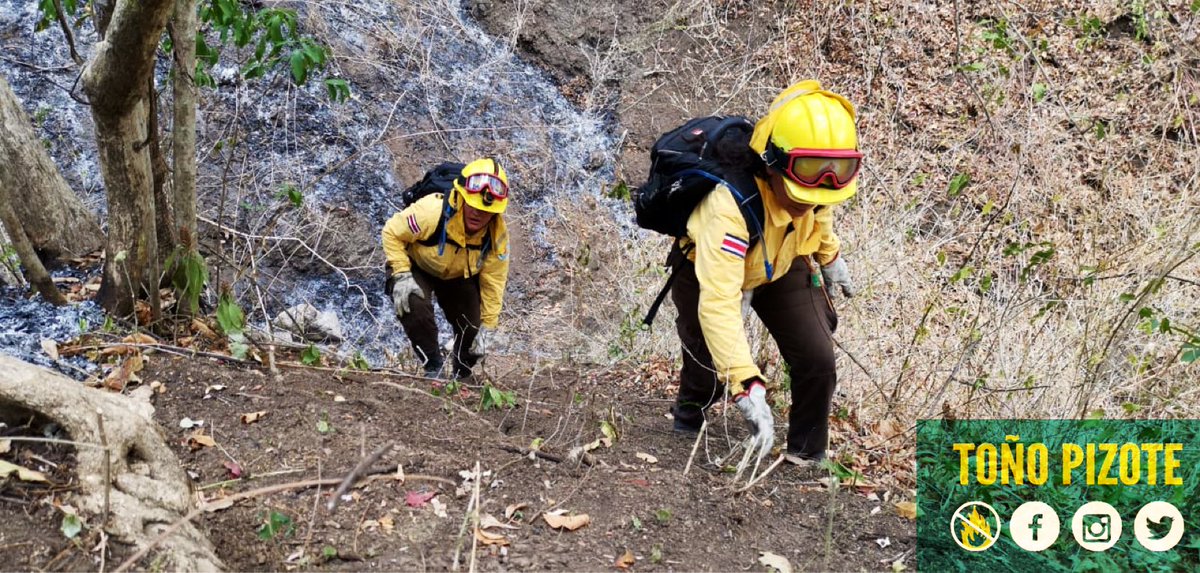 tonopizote's tweet image. La temporada de #incendiosforestales aún no finaliza y los funcionarios del #SINAC #MINAE brigadas de refuerzo y voluntarias, continúan realizando el control de incendios a nivel nacional.

En esta Semana Santa, evitemos los incendios forestales... (📸 J. Díaz y BRIF-SINAC)