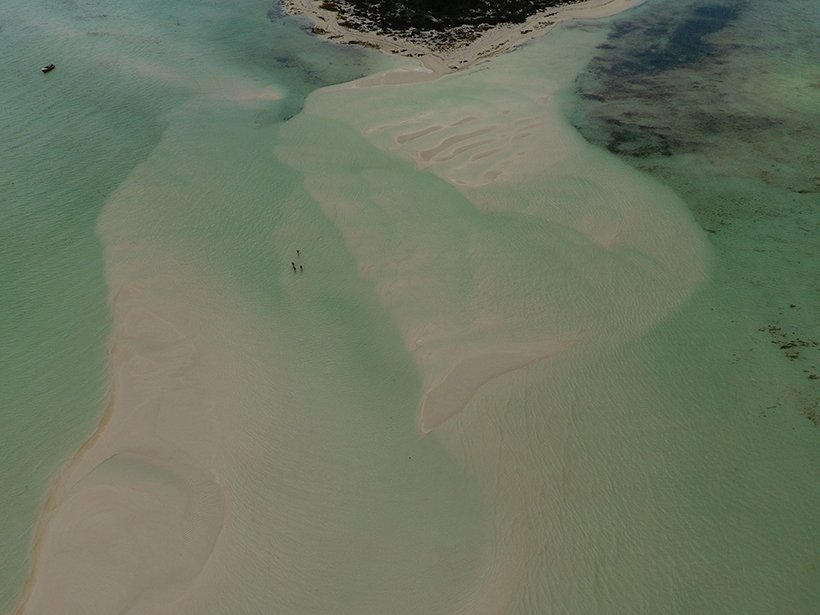 AGU_Eos's tweet photo. Research Spotlight: Carbonate mudstones are a #seawater archive and source of petroleum. New techniques reassess how the #rocks are made. @trowerlab 

By @sidquan 

https://t.co/zFRpsFmj0l https://t.co/Y20KNpZqNc
