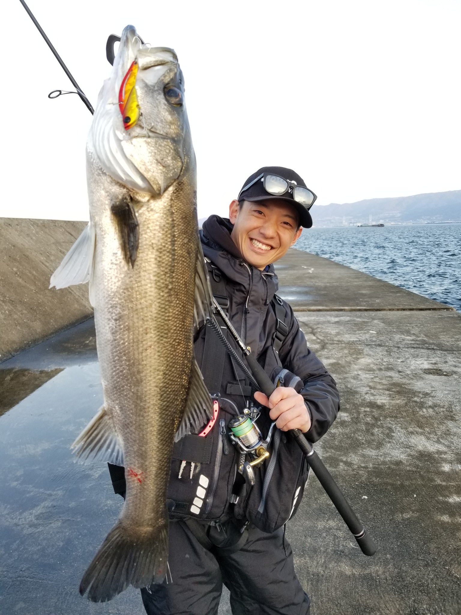 Twitter 上的 フィッシングマックス スタッフ釣果情報 武庫川店久保です 武庫川一文字でデイゲームシーバス カタクチイワシ接岸でシーバス 大爆発 ジャッカル ビッグバッカー107フィッシングマックスオリジナルカラーで70アップも フィッシングマックス