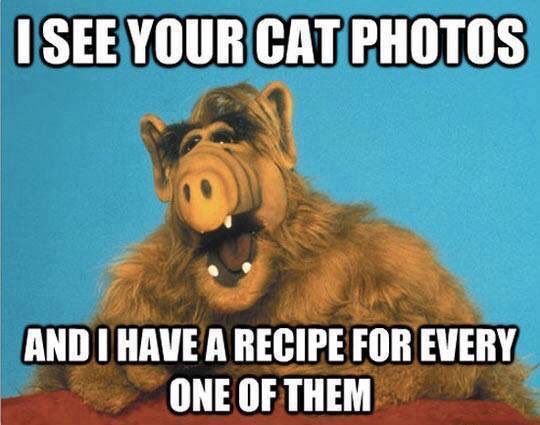 tomscrazyworld's tweet photo. Just a lol...... https://t.co/bi9iagika3