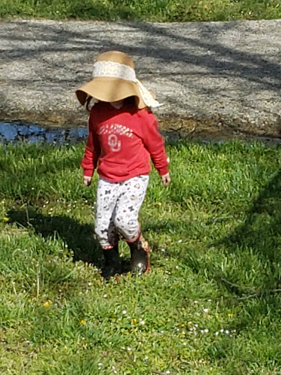 wesselranch's tweet photo. Jumping in muddy puddles https://t.co/r281C6O5K1