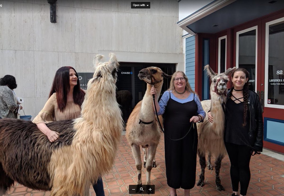 bookshopwportal (@bookshopwportal) on Twitter photo SAVE THE DATE: The llamas are returning to <a href="/BookShopWPortal/">bookshopwportal</a>! Join us for #IndependentBookstoreDay from 3-6 on Saturday, April 27th! <a href="/BookstoreDay/">Independent Bookstore Day</a> #bookstoreday #IBD SAVE THE DATE: The llamas are returning to <a href="/BookShopWPortal/">bookshopwportal</a>! Join us for #IndependentBookstoreDay from 3-6 on Saturday, April 27th! <a href="/BookstoreDay/">Independent Bookstore Day</a> #bookstoreday #IBD