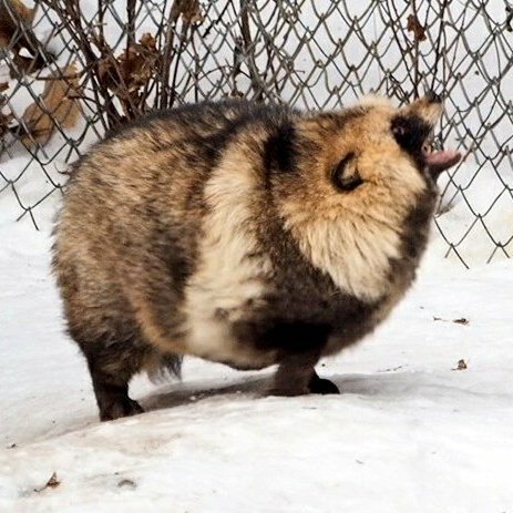 D4JtRbaU8AElmPz.jpg?format=jpg