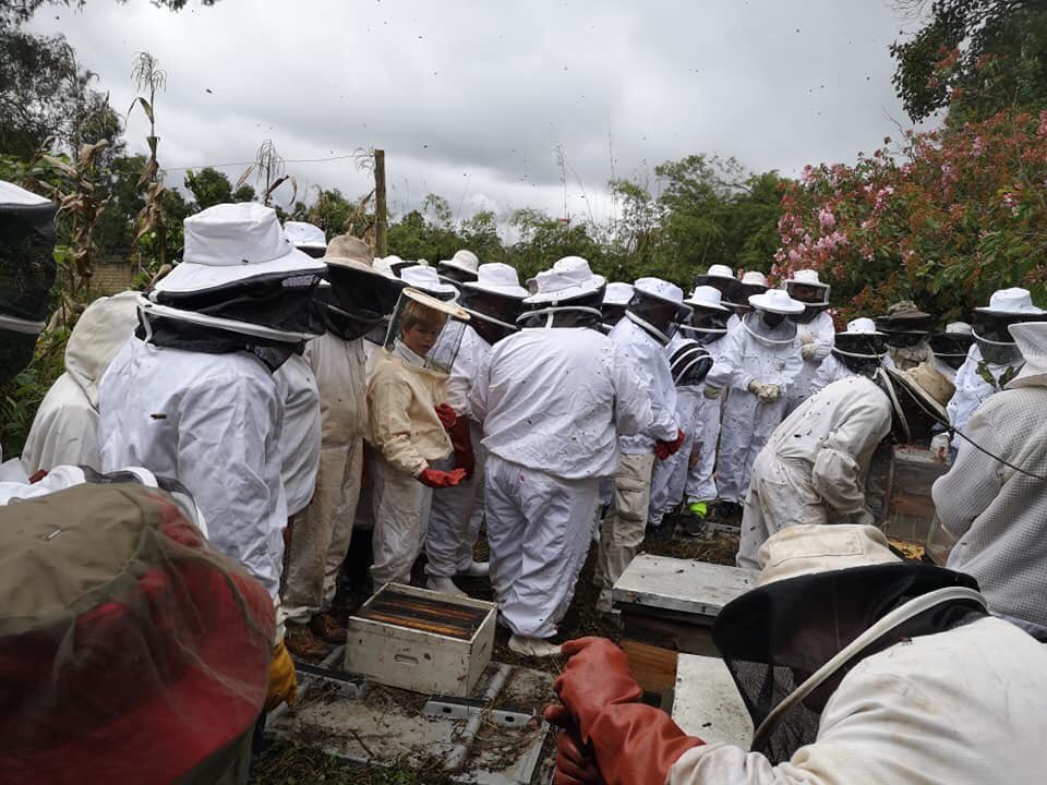 Successful open day 🐝                            📸:KZNBFA