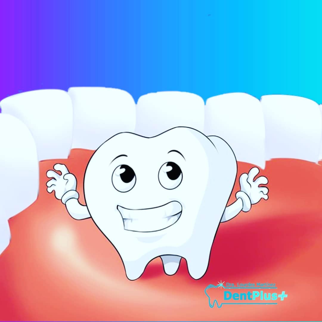 DentPlusVE's tweet photo. ¡Hacemos sonrisas felices!😃 Si quieres transformar tu sonrisa, o mantener una dentadura sana, no dudes en reservar tu cita conmigo #DENT #dental https://t.co/UWAzCI3Cl9