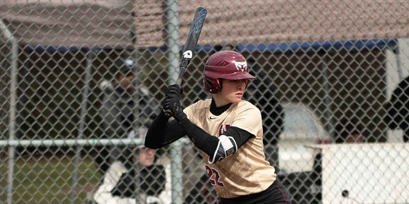 Willamette Bearcats tweet media