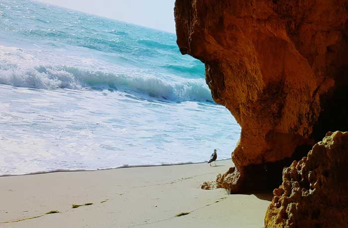 ***Calling all #bartenders*** make some #tikicocktails in your #nightclubs #bar #home... or favorite #island :-) <a href="/TomDyerBar10der/">TomDyerBartender</a> #TomsTikiShaker embossed stainless steel design is the only #shaker <a href="/mackeyp42/">Mack</a> would want to use behind the #bar -  wp.me/p6TW7J-bUh #NCBSHOW19