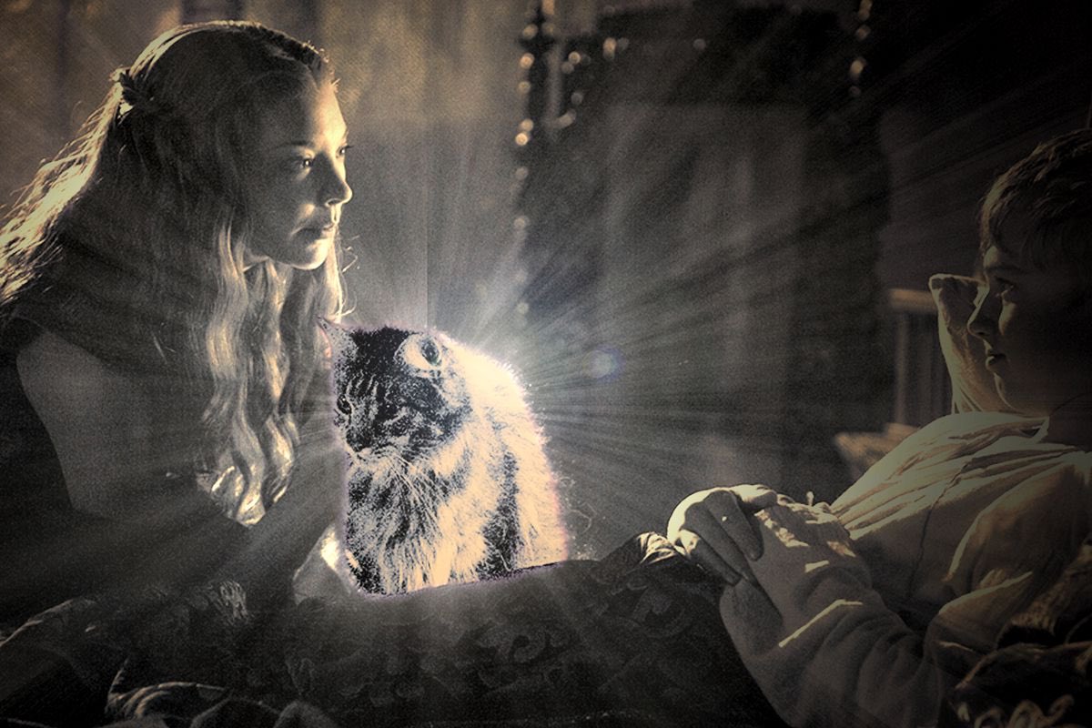 BigTucsonDad's tweet photo. Ser Pounce will rule the Iron Throne I’m calling it now https://t.co/jeVyNGhOQq