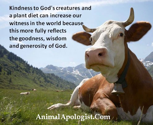 AnimalApologist's tweet photo. We must LIVE as a LIGHT in the WORLD and not as the sick in the world. Pray for God's grace to help us make better dietary choices. #GardenofEdenDiet #ReturnToEden #HelpGodsAnimals #DoNotBeAddictedToMeatorCheese #ExperienceTheFreedomofChrist https://t.co/dRe6b2CHZM