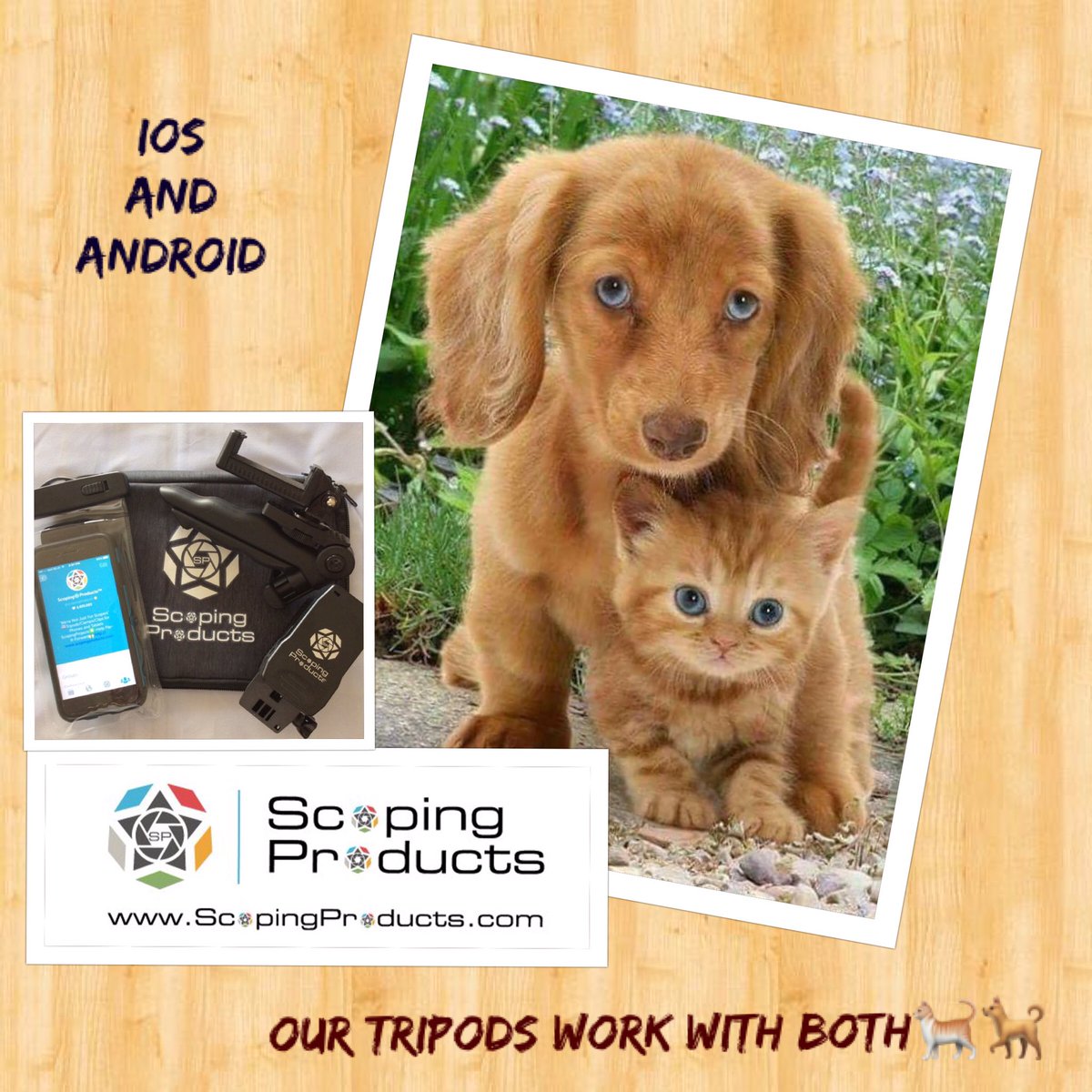 JeffsJourney_Eh's tweet photo. #tripods #handsfree #livestreaming #monthlypromo #savings #spposse https://t.co/zczEdeYjWn https://t.co/UDuhcqICq4