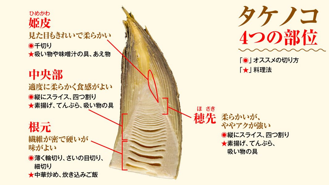 ウェザーニュース בטוויטר タケノコが出回る季節になりました タケノコは部位によって味や食感が異なるのをご存じですか 1本で部位 により味も食感も異なるタケノコ 4つに分けた部位はそれぞれどういう料理に向くのか ご紹介します T Co Ta2pomyyp1 ウェザーニュース בטוויטר タケノコが出回る季節になりました タケノコは部位によって味や食感が異なるのをご存じですか 1本で部位 により味も食感も異なるタケノコ 4つに分けた部位はそれぞれどういう料理に向くのか ご紹介します T Co Ta2pomyyp1