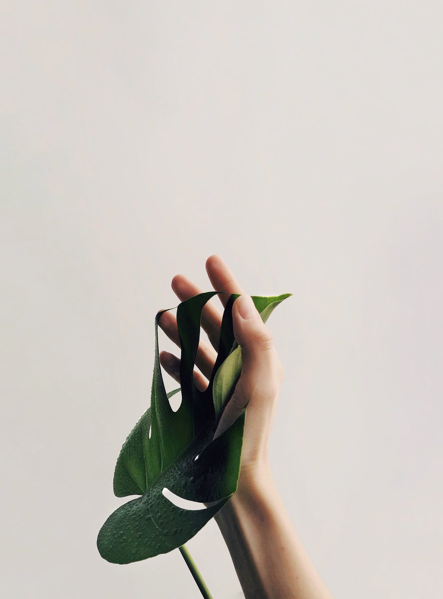 davisdesign1's tweet photo. βBe kind, for everyone you meet is fighting a harder battle.β β Plato π
πΈ @pexels
#davisdesign #graphicdesign #webdesign #geelong #geelongbusinessβ£ https://t.co/oY2hYOZAwd