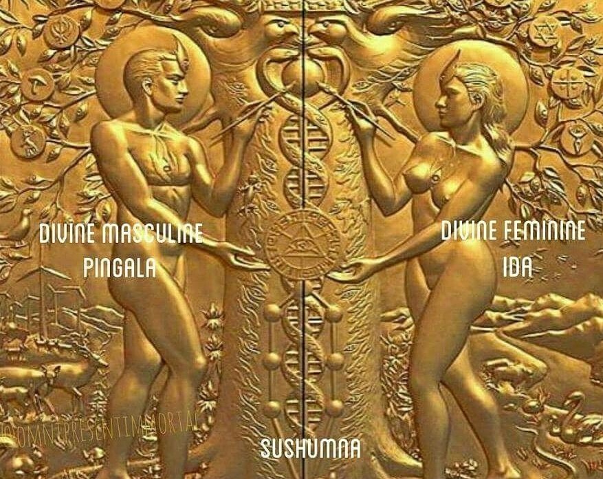 They had a different interpretation of the Adam and Eve story: the price was forgetting who you really were, and living in primitive/violent conditions for billions of lifetimes. What you have gained most is wisdom which you were not able to get prior to entering 3D.