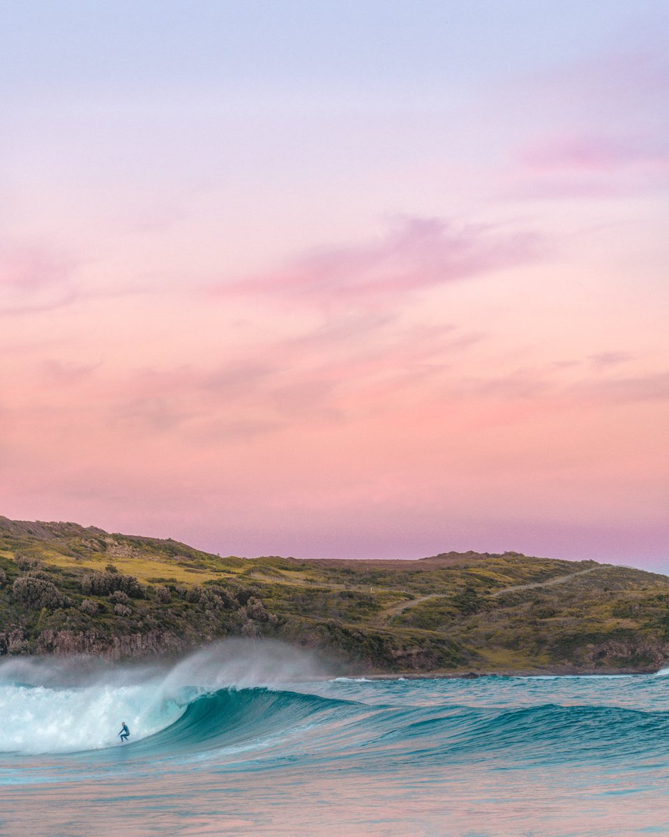 Anyone else loving the autumn weather? Finding some colours  down at Killalea State Park

@NewSouthWales @Australia
#seeaustralia #newsouthwales #bondi #surfing #visitnsw #visitwollongong #sunrise #oceanlove #Australia #Beach #pastel #drone #wollongong #sunset