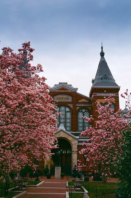 StevesCamera's tweet image. First #35mm film roll in years and years. #WashingtonDC