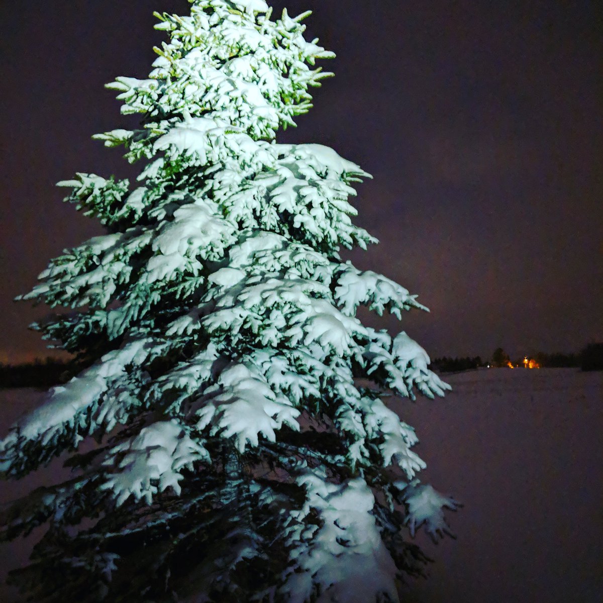 Advntrs_At_Home's tweet photo. So gorgeous. And then you realize it's the middle of April...

#tree #trees #snow #spring #Wisconsin #adventure #advntrs_at_home https://t.co/UpqVcfzxf7