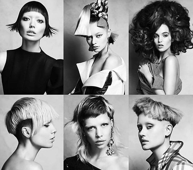 HairClubLiveAus's tweet photo. Big shout out to a personal friend of @hairclubliveaus &amp; @tributehairmagazine and amazing stylist!!! AHFA Victoria hairdresser of the year 2019 @josmithhair 👌🏻❤️ nice one Jo! Xx #fiercehair https://t.co/LdTZDLNWDN https://t.co/HCLMb4mb4T