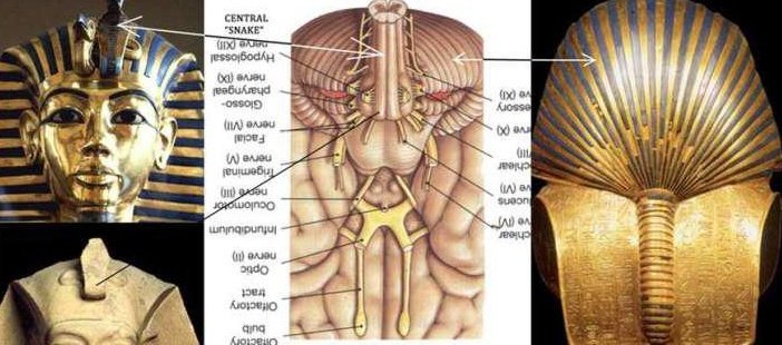 Christ was crucified in Calvary. Calvary in its original Hebrew form means “place of the skull.” The rebirth = as your cerebral spinal fluid climbs your 33 vertebrae(Jacob’s Ladder) and meets your 12 cranial nerves(12 disciples) it connects you with your higher self(Christ).