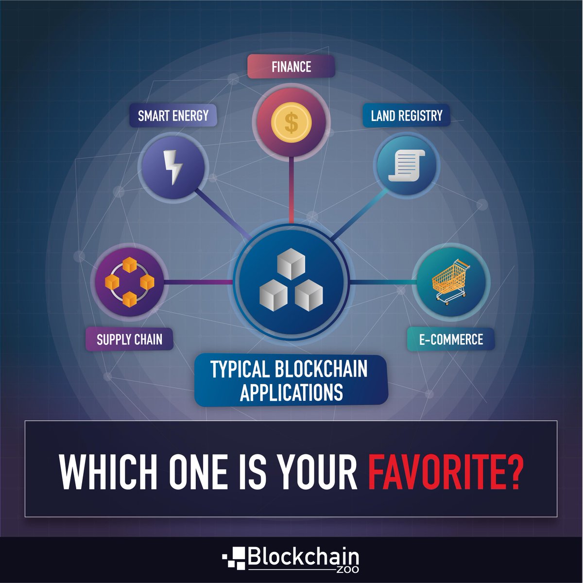 Blockchain Zoo tweet media