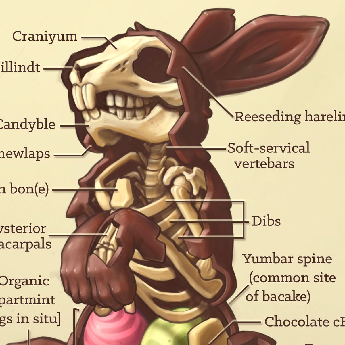 artibiotics's tweet photo. Easter bunny anatomy. Forgive my crummy puns. #Easter2019 #Easter #EasterEgg #anatomy #SciArt https://t.co/hZPrzxgbwD