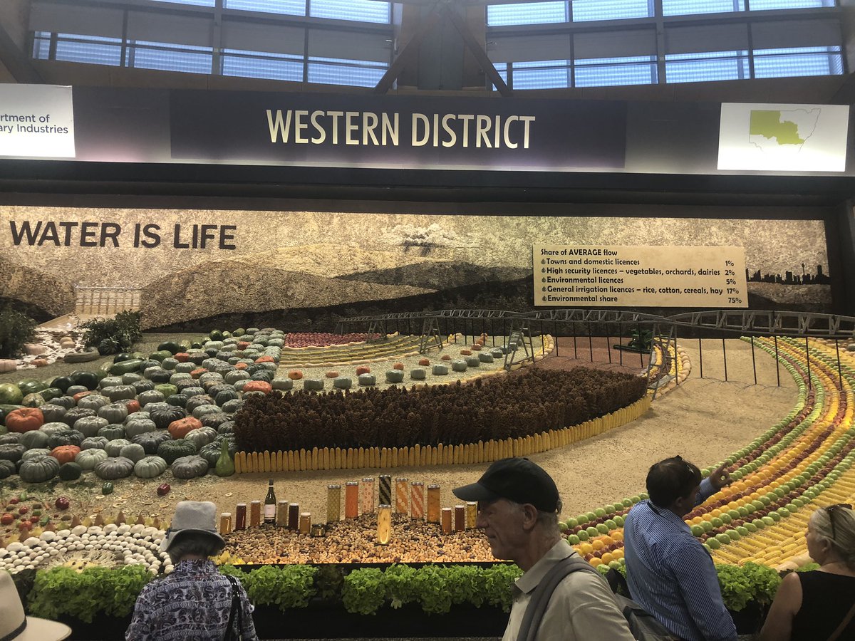 h.cudmore tweet media