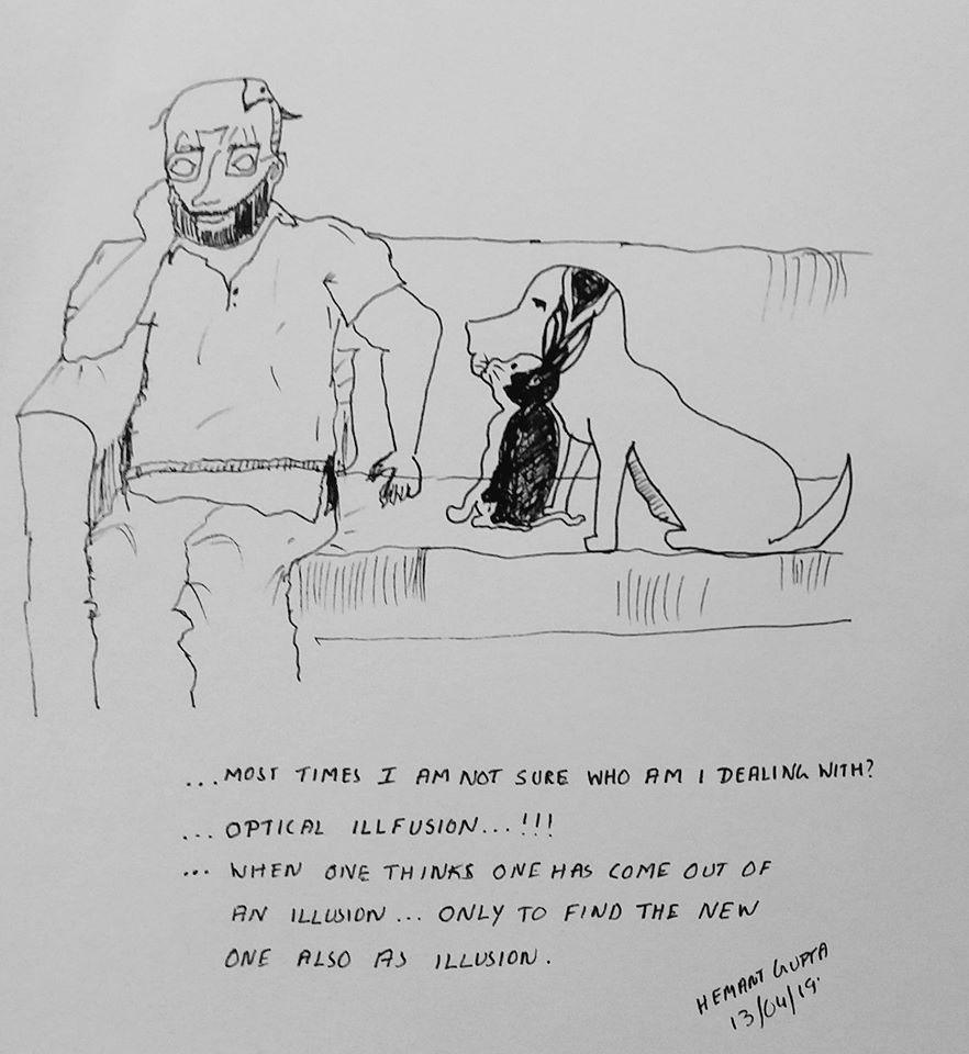 HemantGuptaNext's tweet image. optical illfusion II dictionary not fictionary II #RandomScribbles #ThisJourney
