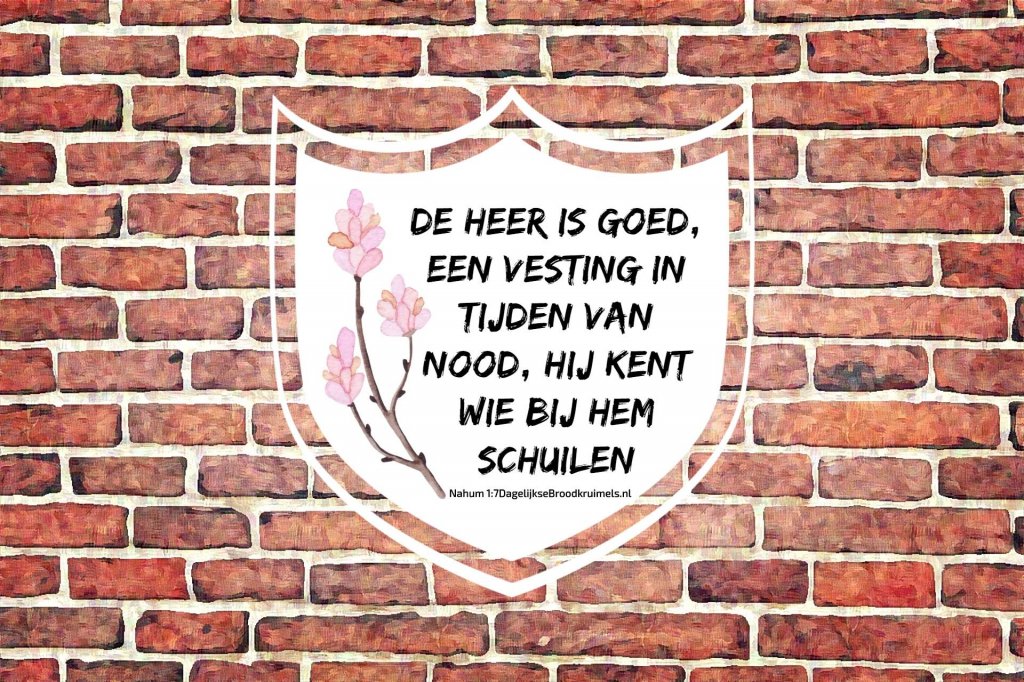 dglksbrdkrmls's tweet image. Nahum 1:7 #Bemoediging #Goedheid #Heer #Lijden #Nabijheid - dagelijksebroodkruimels.nl/nahum-1-7-2/