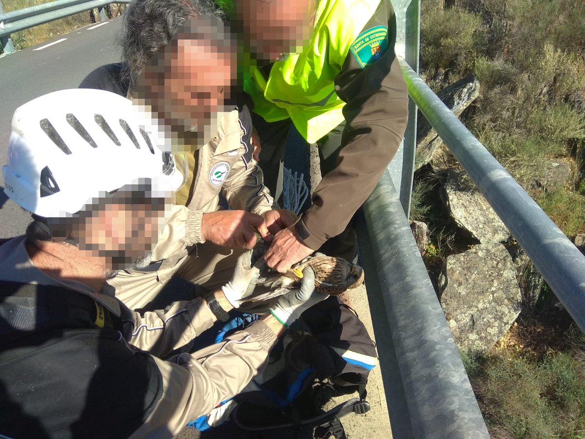 UGT Agentes Medio Natural Extremadura tweet media