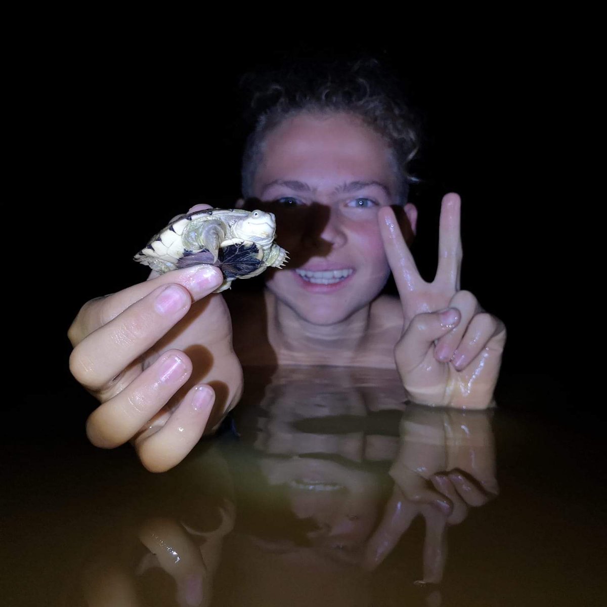 Marsh terrapin/Pelomedusa subrufa🐢