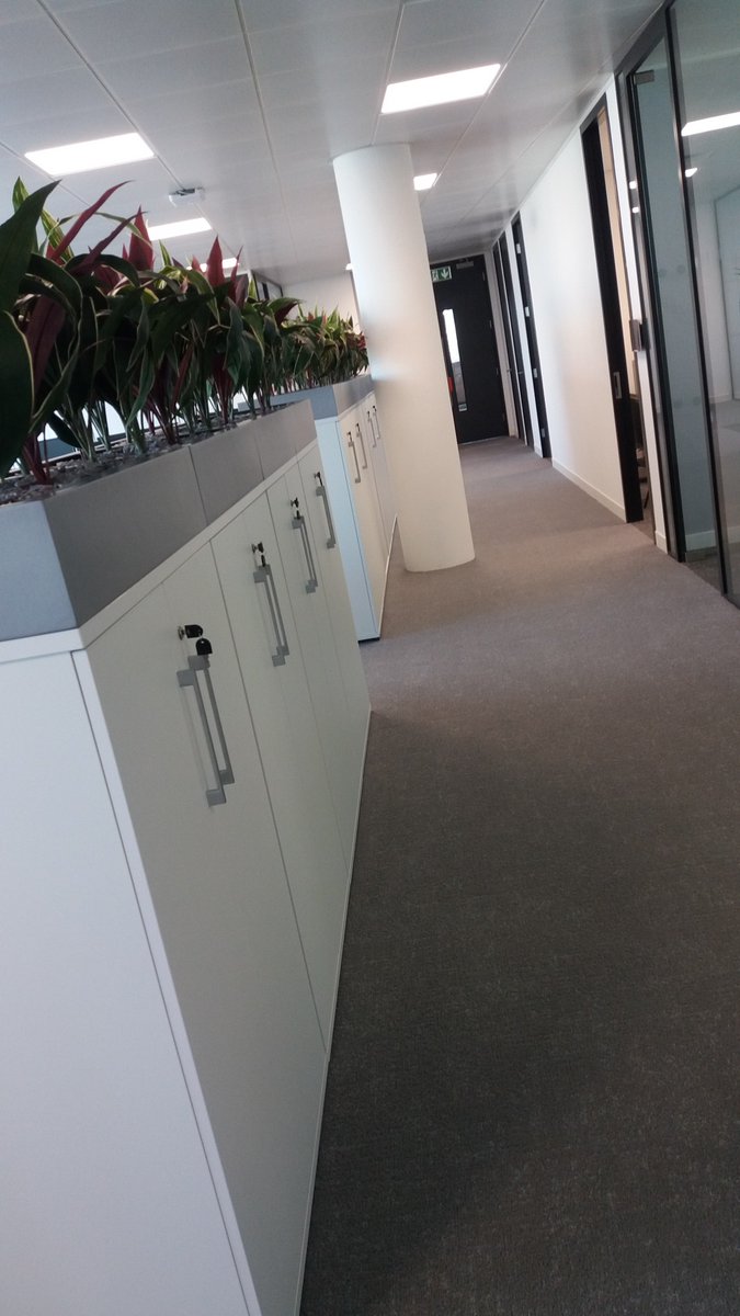 Tom Ruse tweet media